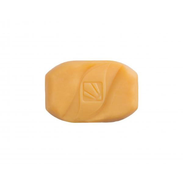Ganoderma-mushroom-soap-hands-face-www.tarahanmarket.com_.jpg